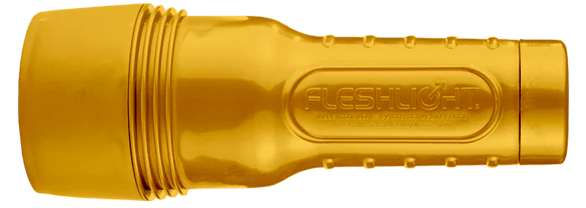 Fleshlight Case: Gold - Image 6