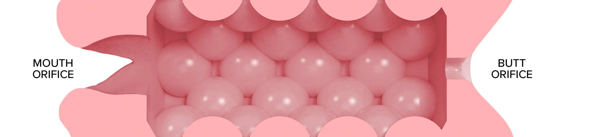 Quickshot Stamina Training Unit Butt/Mouth - Image 6